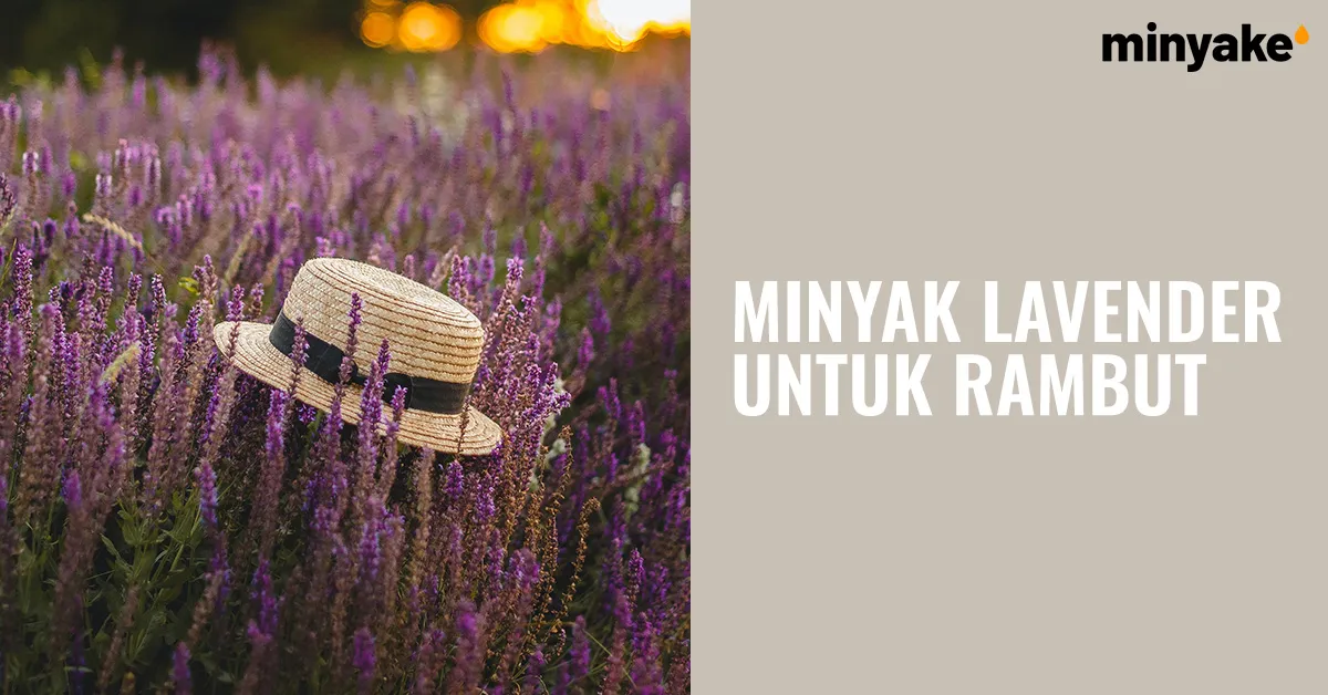 Manfaat Minyak Lavender untuk Rambut