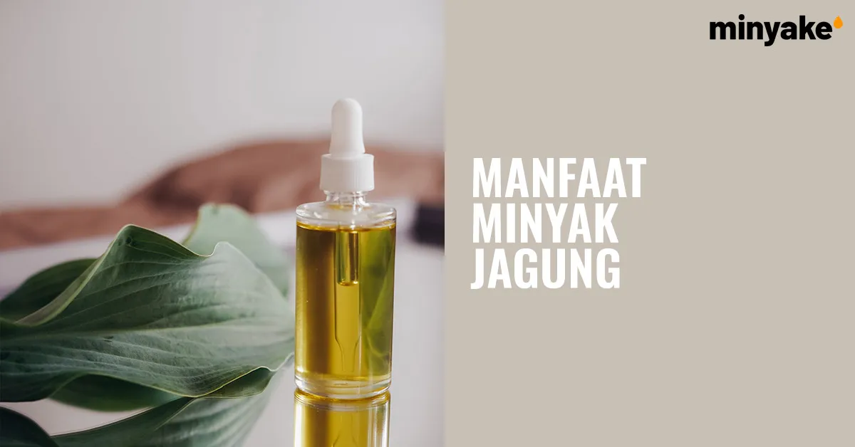 Manfaat Minyak Jagung