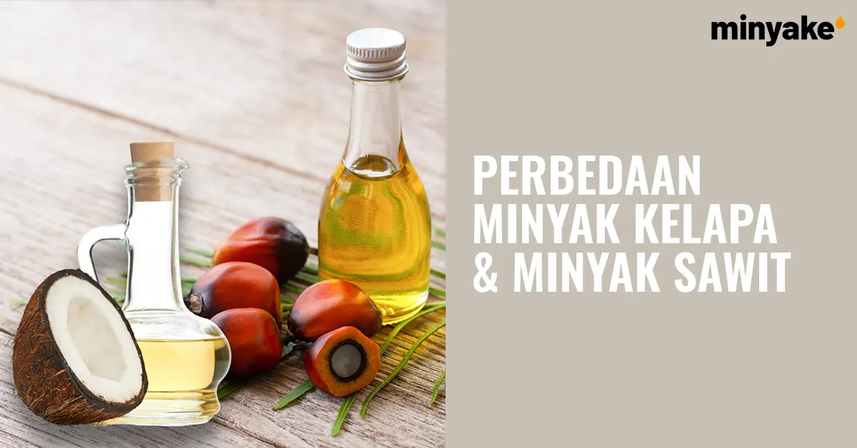 Perbedaan Minyak Kelapa dan Minyak Sawit