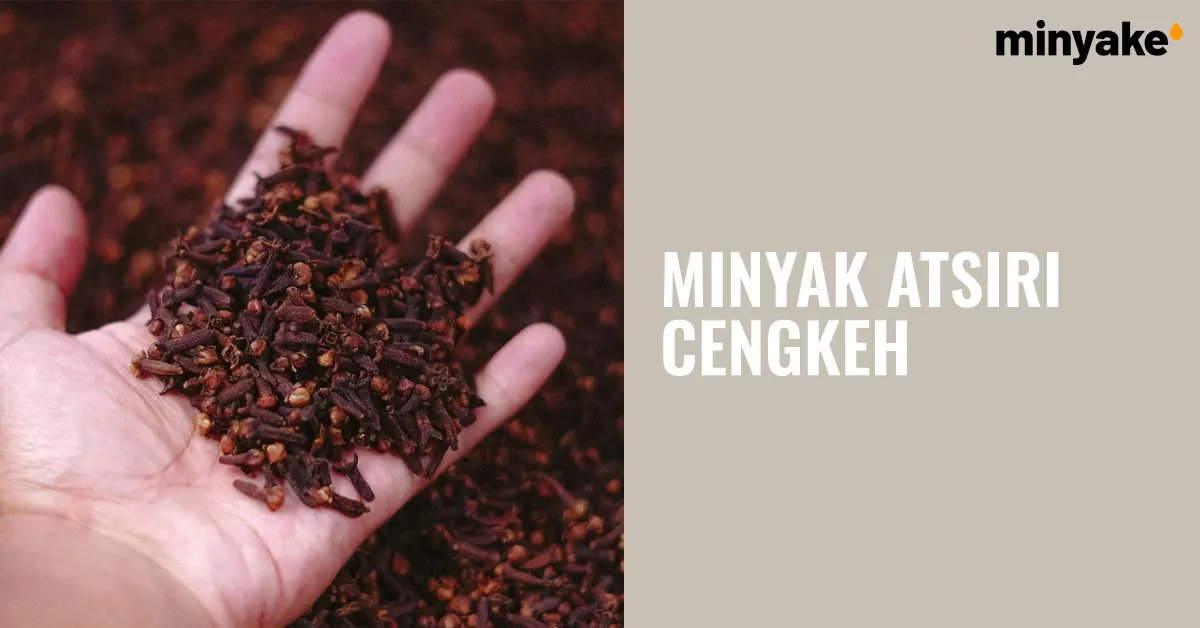 Minyak Atsiri Cengkeh