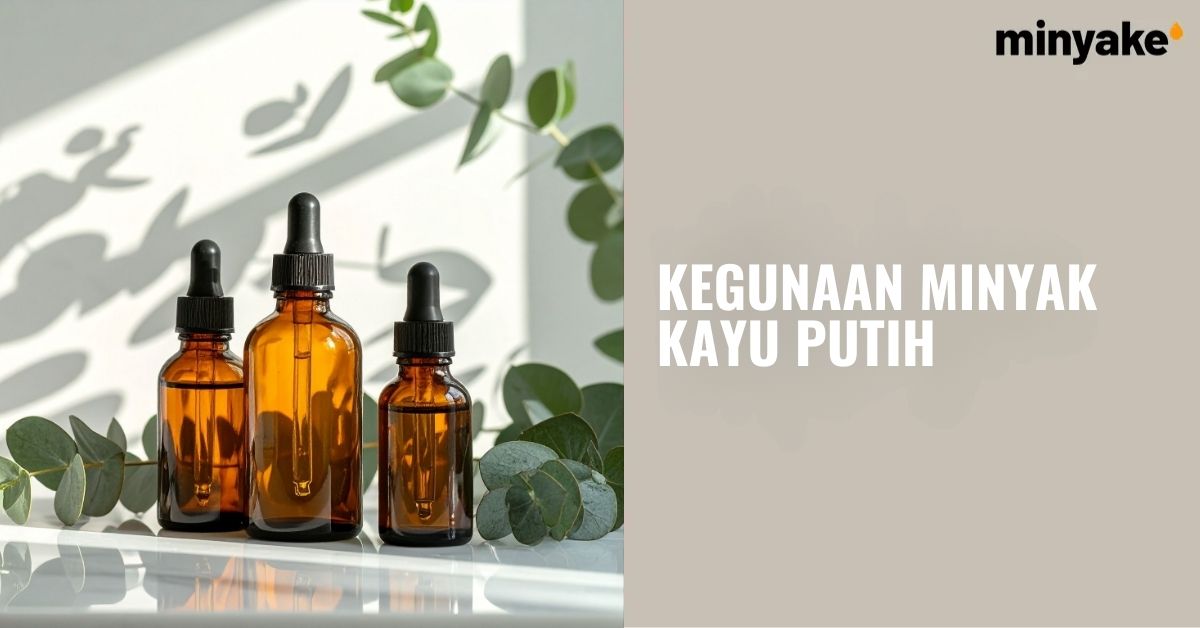 Kegunaan Minyak Kayu Putih 6 Kegunaan Minyak Kayu Putih