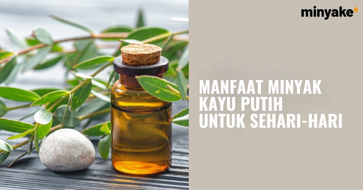 Manfaat Minyak Kayu Putih untuk Kesehatan