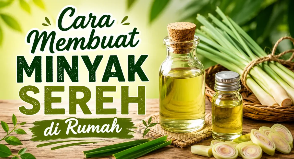 Cara Membuat Minyak Sereh di Rumah 1 Cara Membuat Minyak Sereh