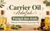Carrier Oil Adalah