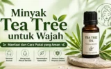 Minyak Tea Tree untuk Wajah: Manfaat dan Cara Pakainya 3 Minyak Tea Tree untuk Wajah